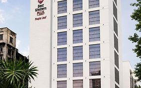 بست وسترن بلاس مابل ليف